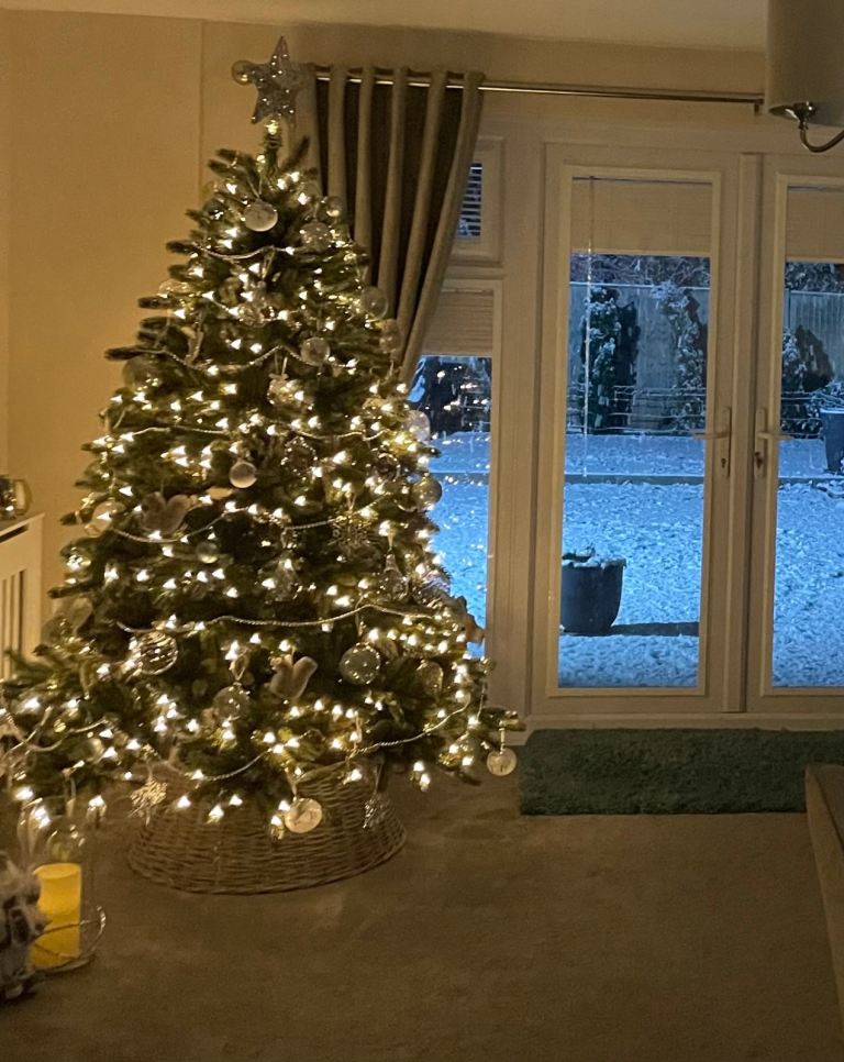 Balsam Hill Vermont White Spruce 6.5ft Christmas Tree