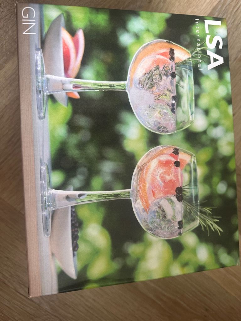 LSA International Gin Glass - New in Box