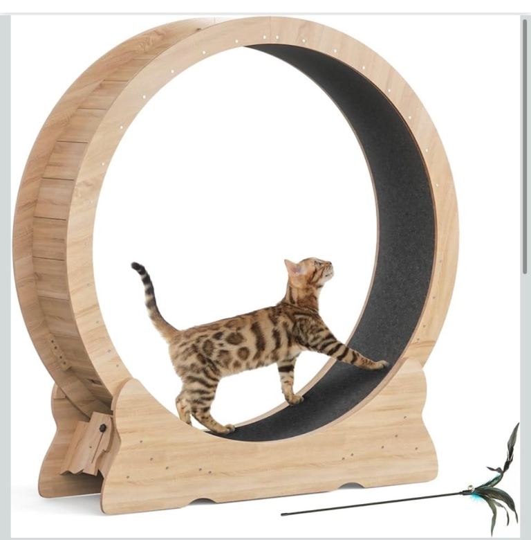 Cat wheel New and built 