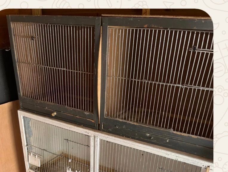 Bird breeding cage