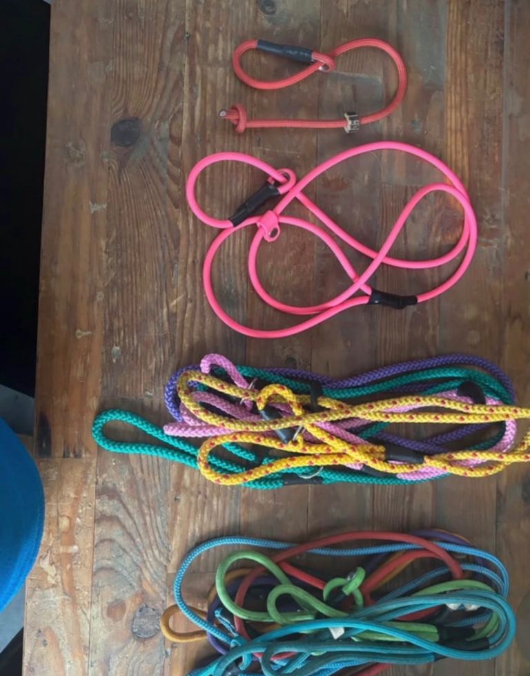Slip leads 