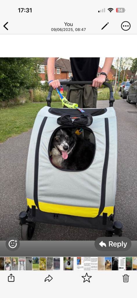 Dog pushchair/ stroller 