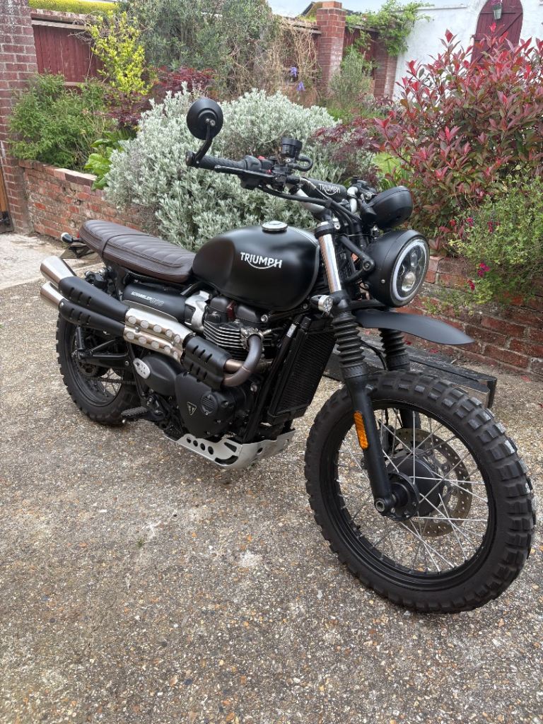 Triumph, SCRAMBLER, 2022, 900 (cc)
