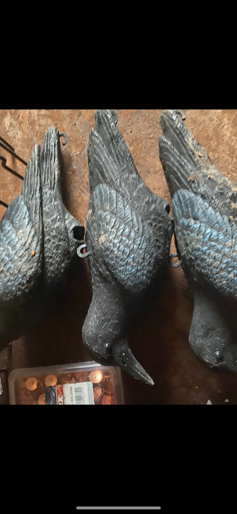 Crow bird scarer/pigeon scarer