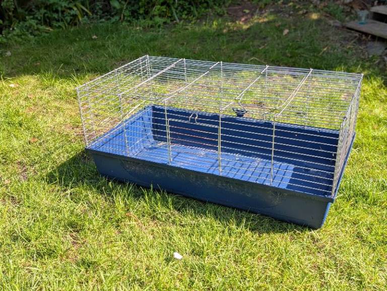 Guinea pig cage
