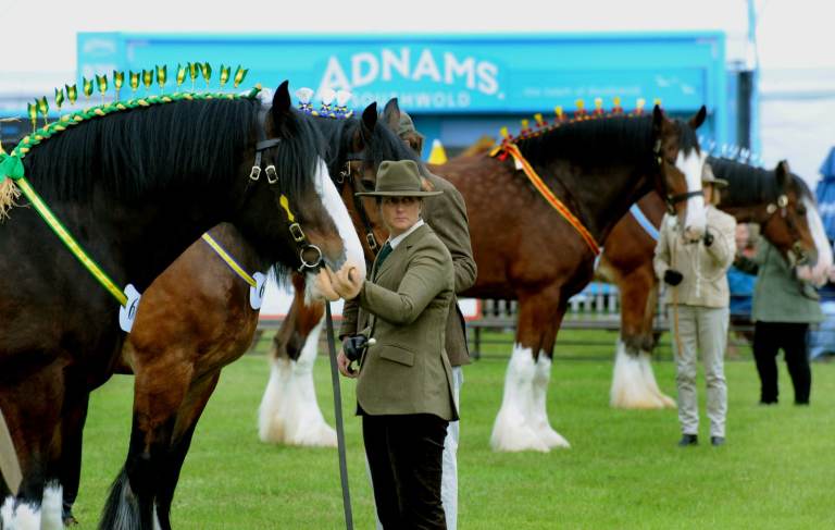 EXPERIENCE A GREAT BRITISH DAY OUT