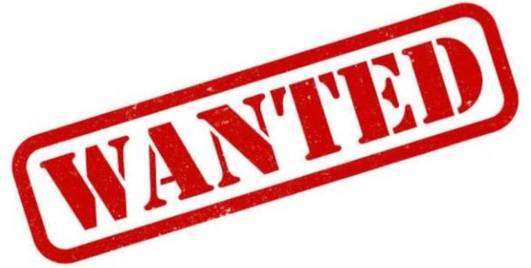 WANTED  Christmas Decoration