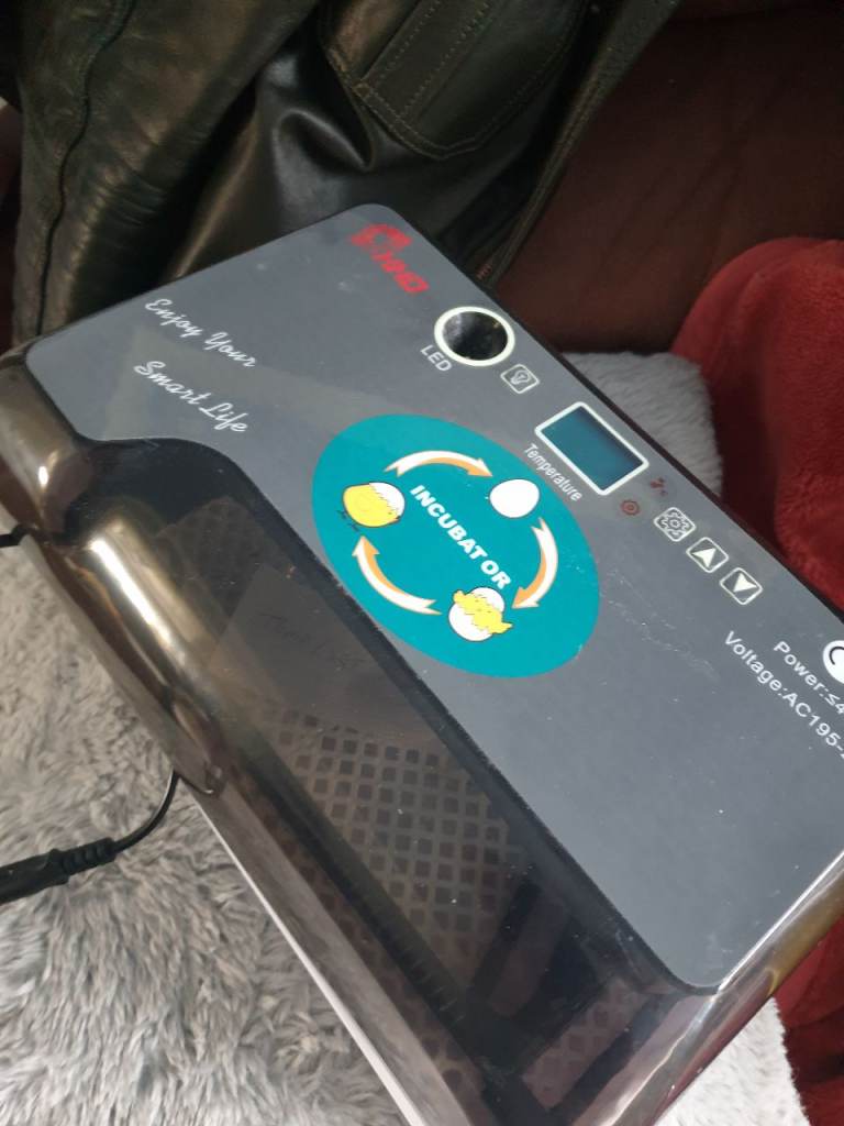 Egg incubater
