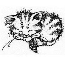 Pets and Property - house-sitter, cat-sitting available, I can help!