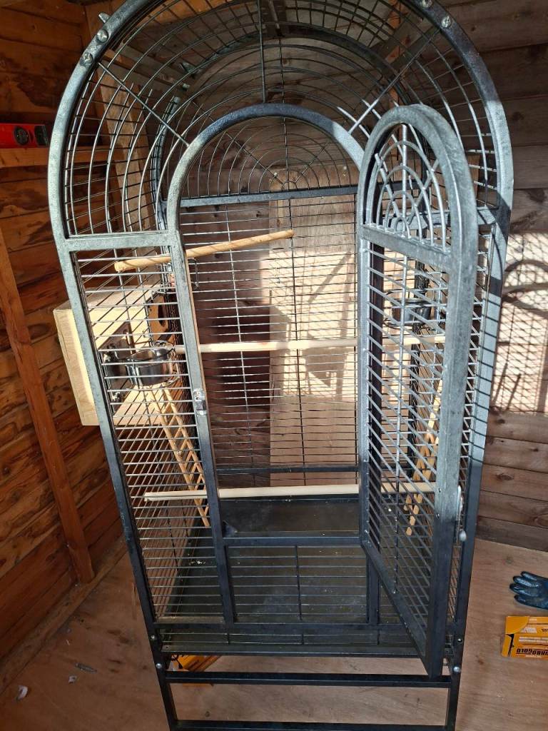 Bird cage 