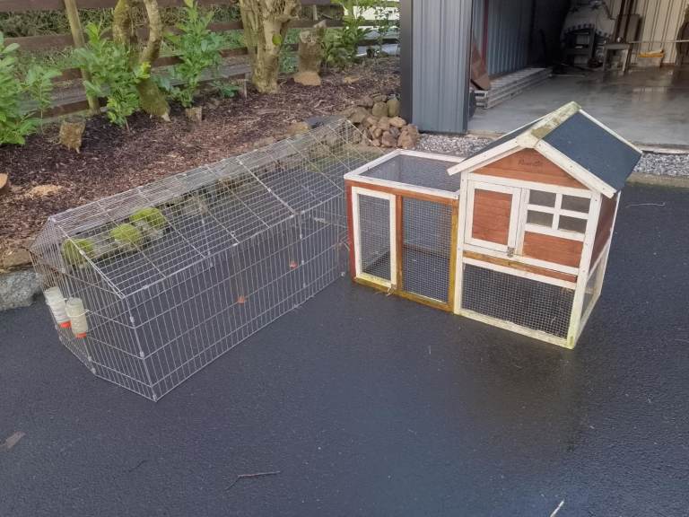 Pet. Small Animal Hutch and Run for Rabbit, Guinea-Pig,etc, etc