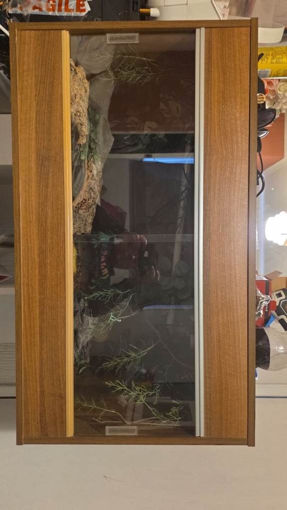 3ft vivarium