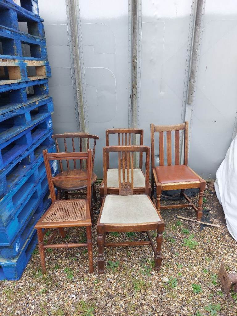 Dining Chairs 