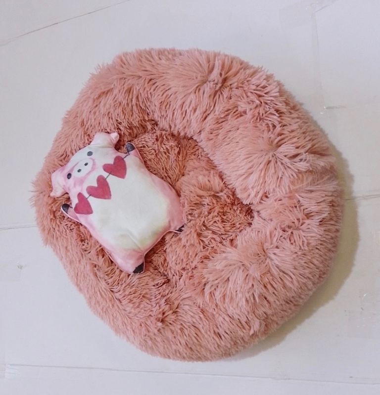 Dog/cat bed with free toy
