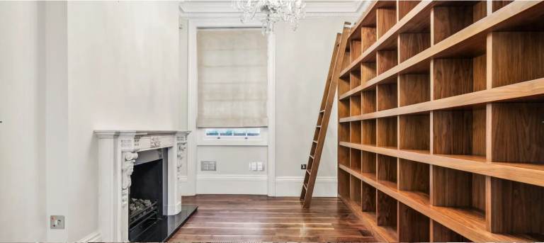 Full Library with attached ladder