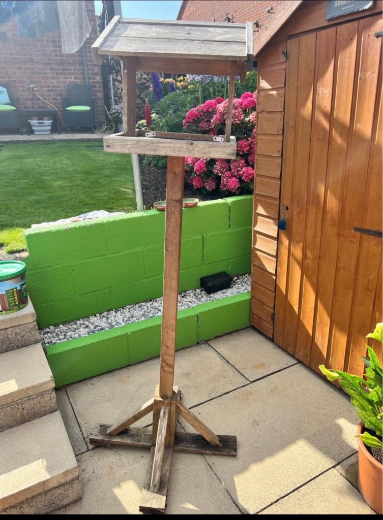 Bird feeder FREE