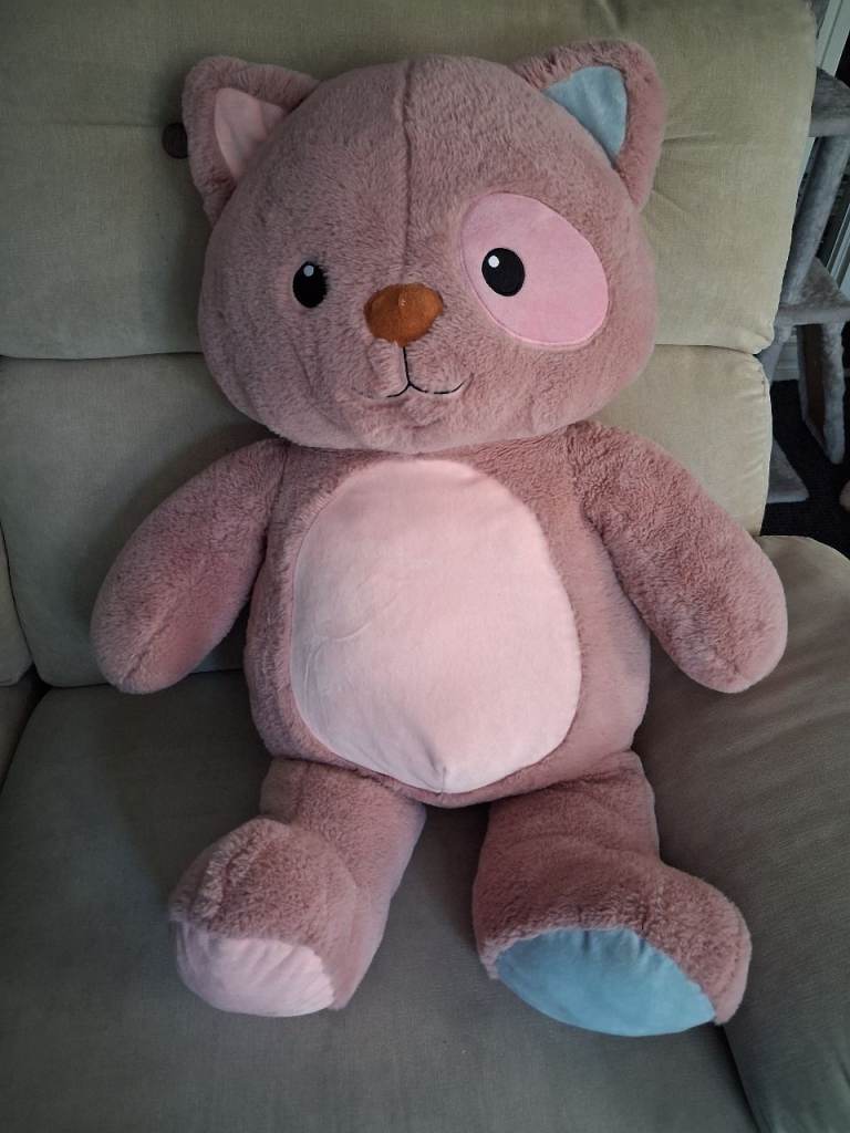 Cat Soft Toy