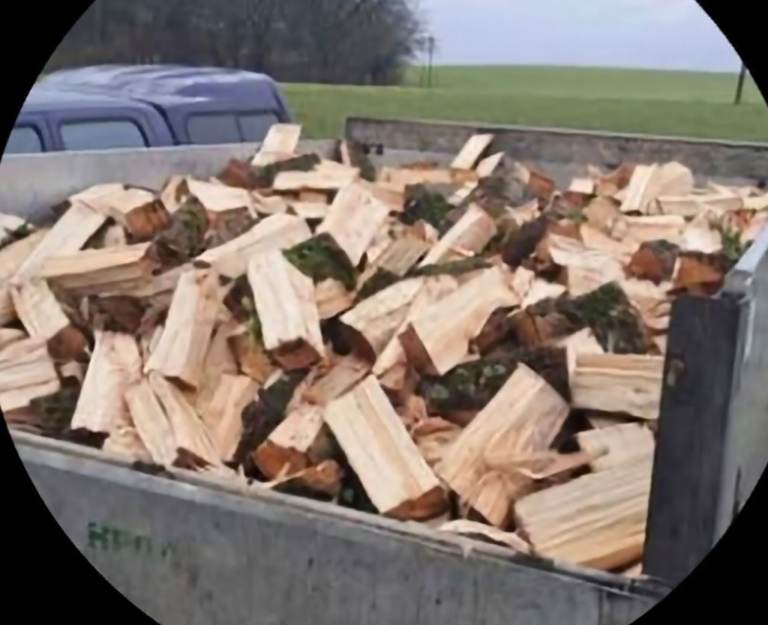 Ash Hardwood Logs - Logged or Split