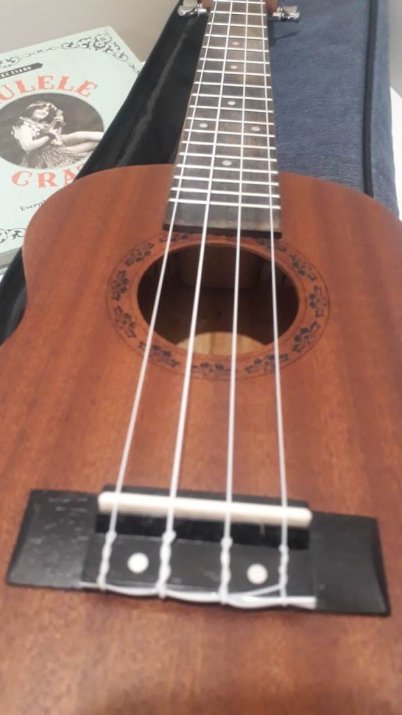 Horse Ukulele in excellent condition with case and 'Ukulele Crazy' charting history and popularity o