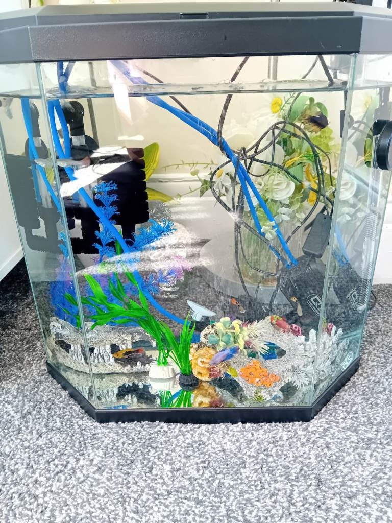 2x 25ltr complete set up fish tanks 