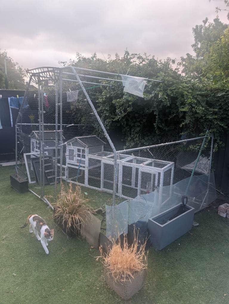 Large steel frame for pets 