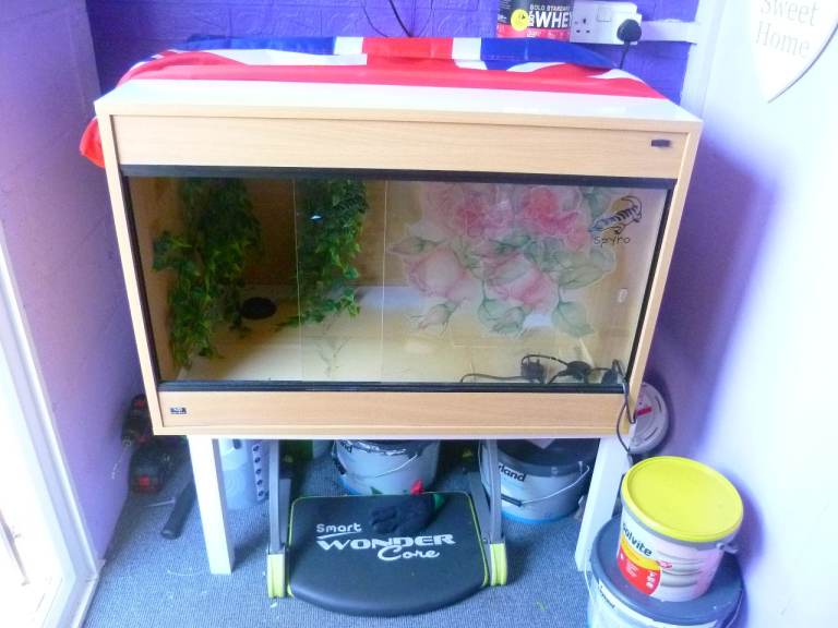free 3ft x2ft Wooden Reptile Vivarium/Terrarium with Glass Front – Good Condition