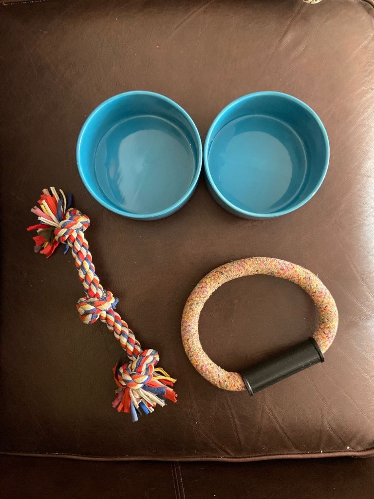 Dog bowls and toys 