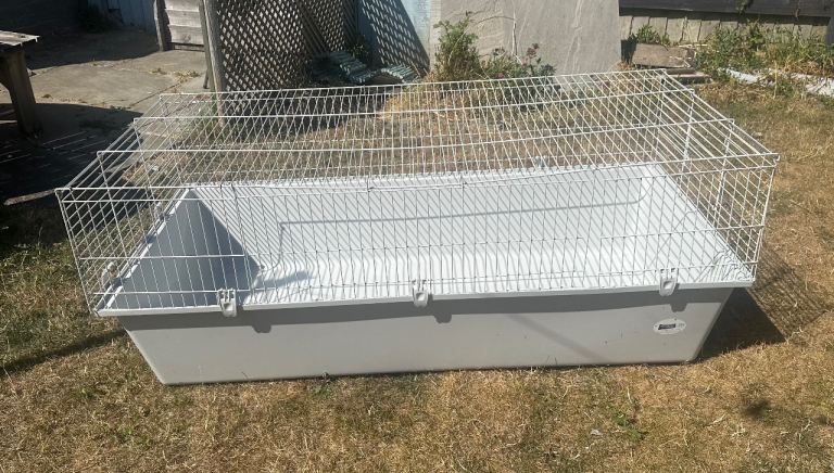 Guinea Pig Cage