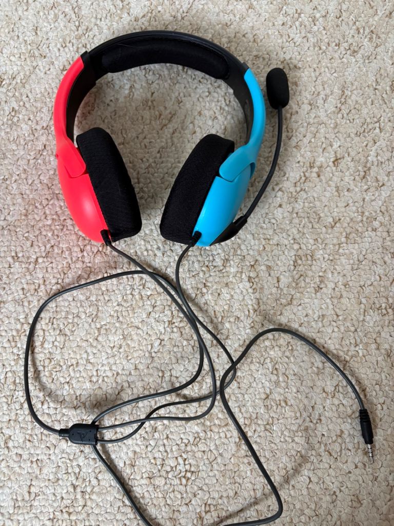 Nintendo Switch headset 
