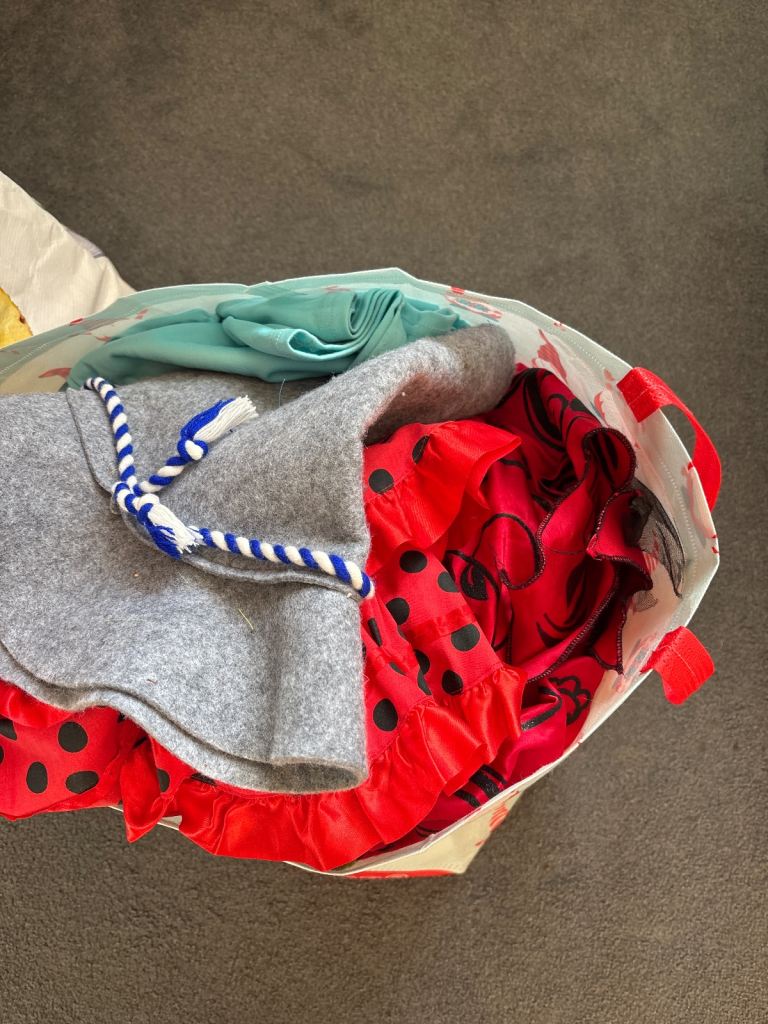 Now gone: Bag of dressing up clothes - under 10 years