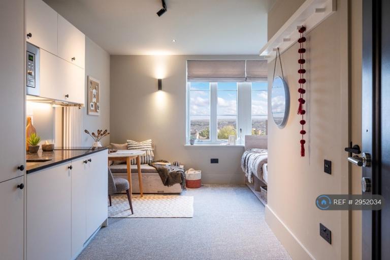 Studio flat in Augustus Road, London, SW19 (#2952034)