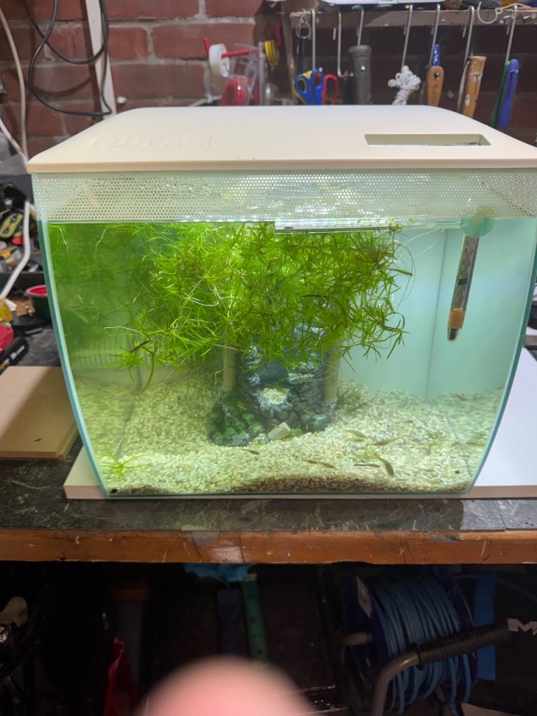Fluval flex 34 litre in white