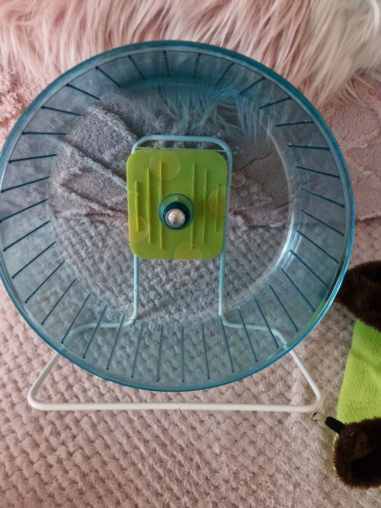 Large rat/gerbil wheel 