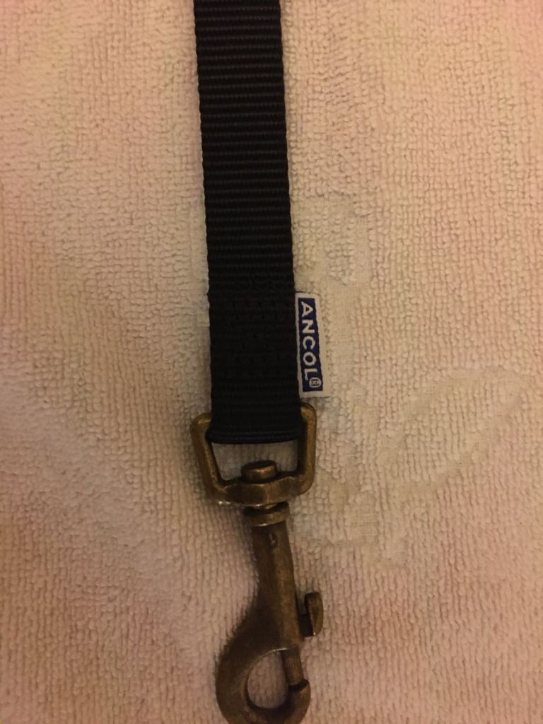 Selection used dog leads 