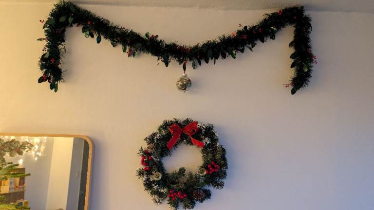Mixed Christmas Decortations - Great condition