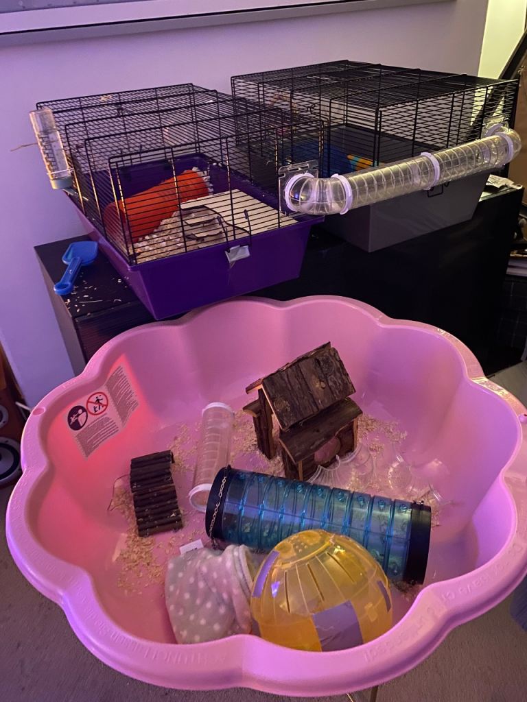 Hamster twin cage and run