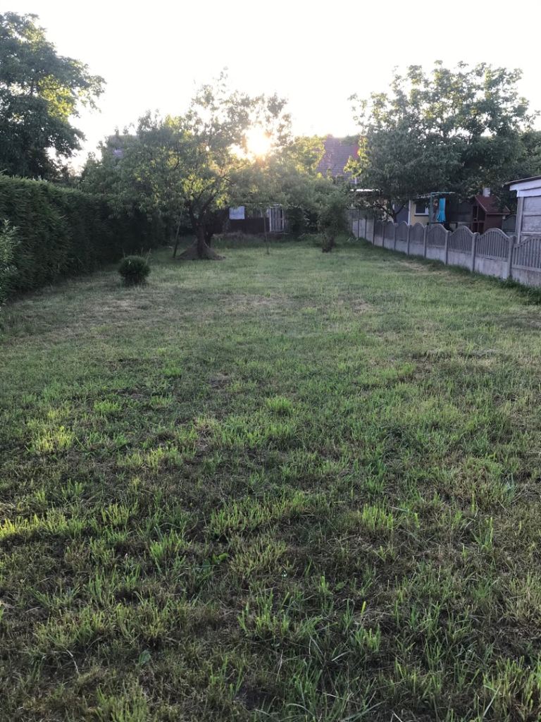 Big Van for your staff ANYTIME