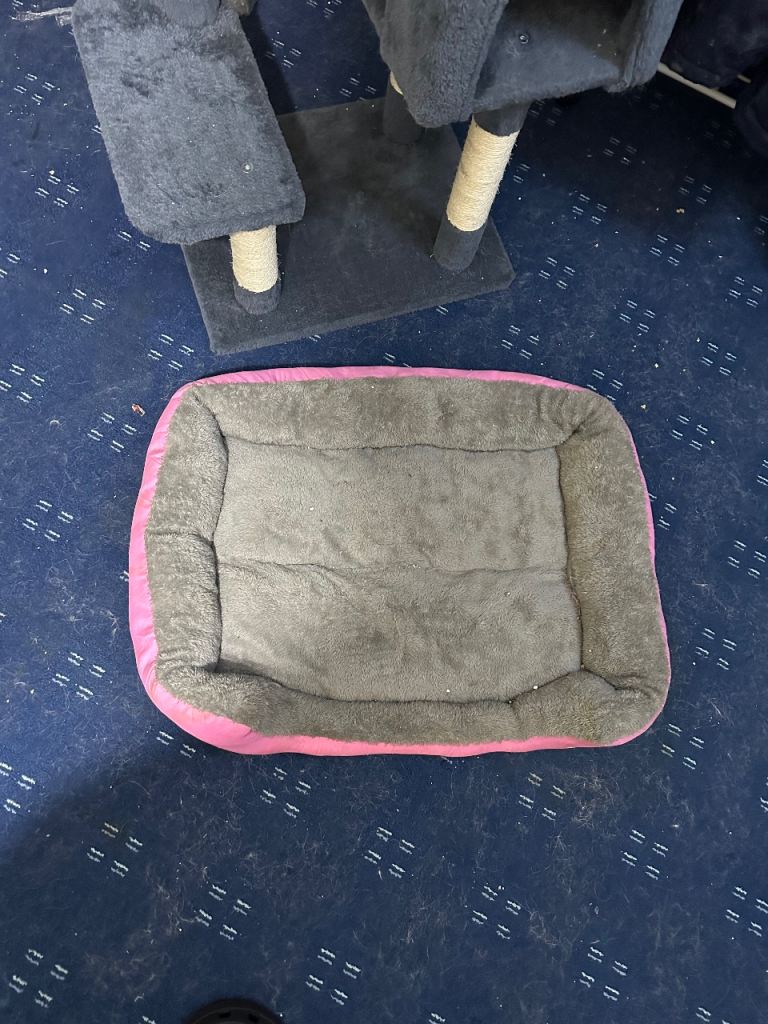 Cat tree and cat bed 