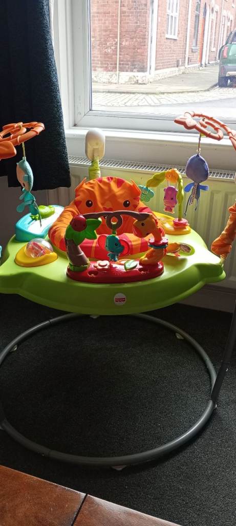 Rainforest Jumperoo: Baby Bouncer 