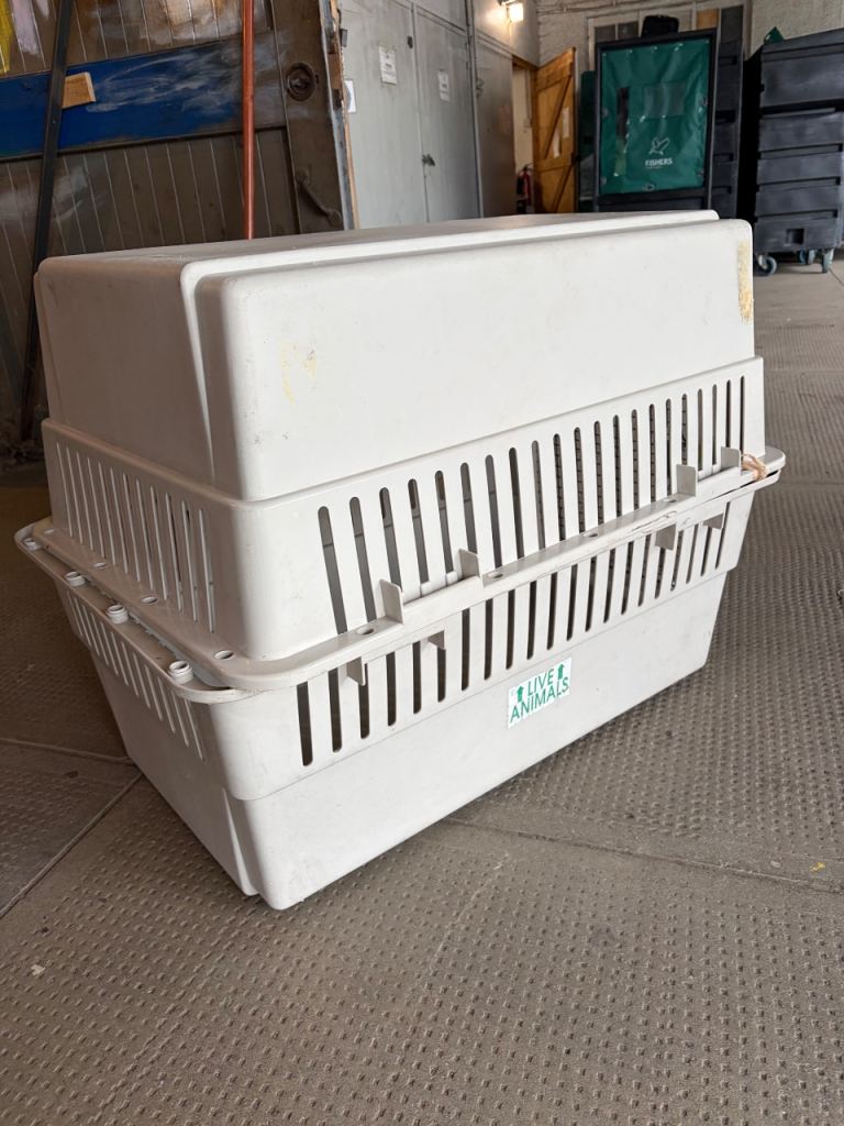 Dog Crate (travel transport type) 