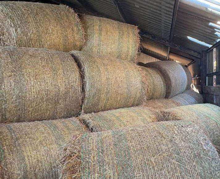 Looking for - Hay or Haylage & Straw Bales ( Square or Round ) Nottinghamshire "Any Condition"