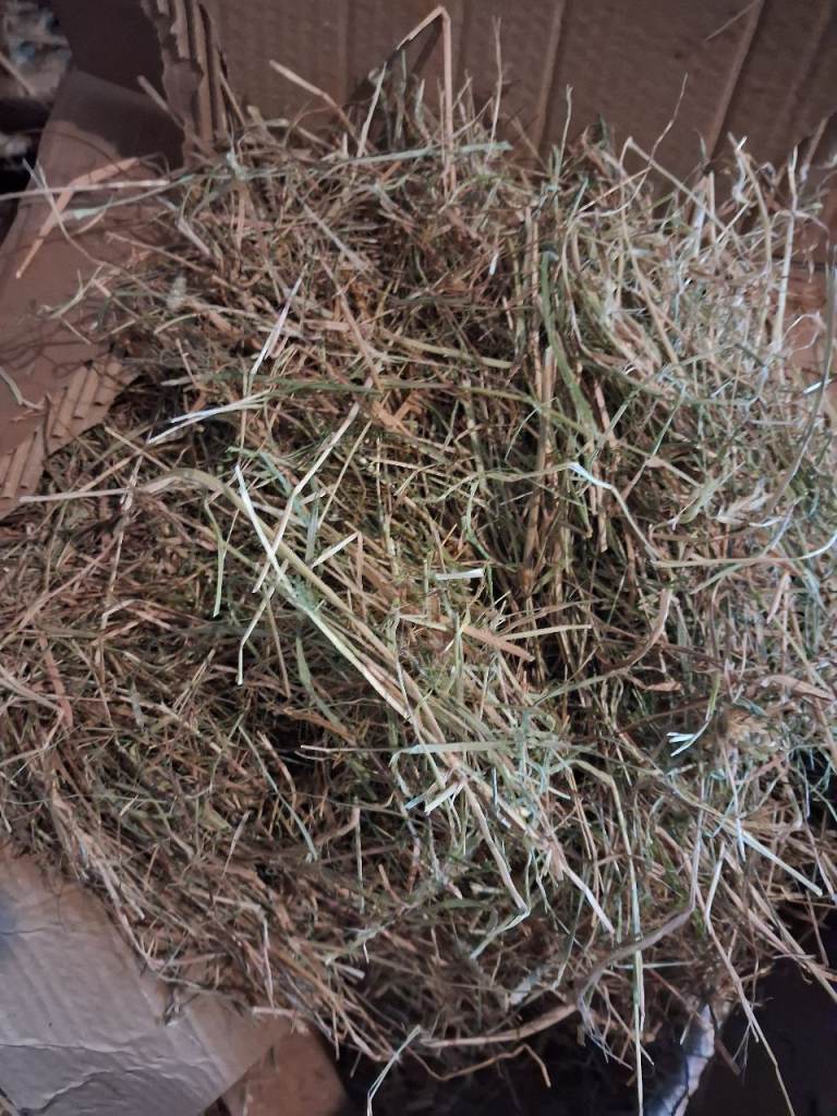 Hay in large box. Size 15 to 20kg.