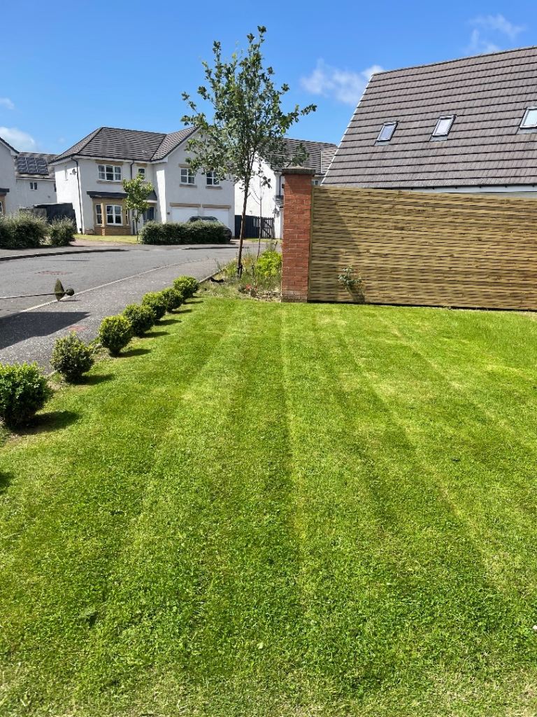 Grass cutting hedges trimmed  gardening gardener pressure washing gardening service  
