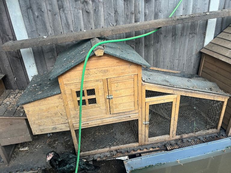Chicken hutch 