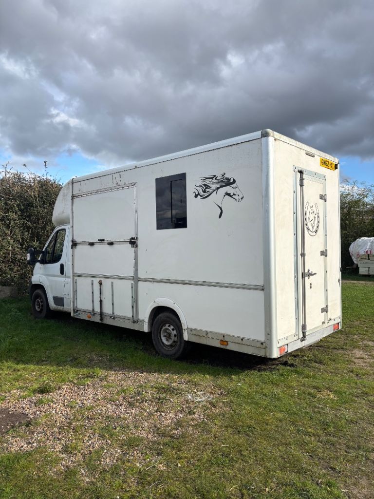 3.5 t Citroen Horse Box  for sale 
