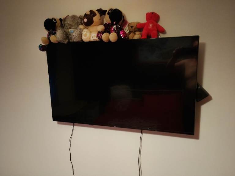 Bush Smart TV with Remote – Good Condition