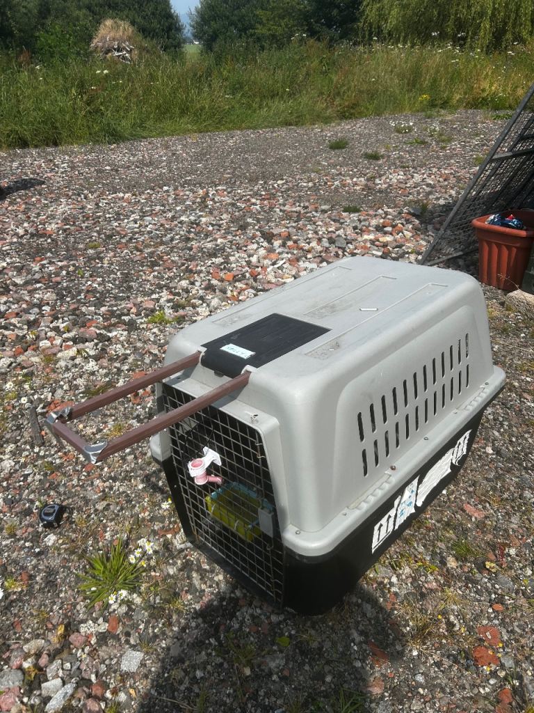 Xl dog crate