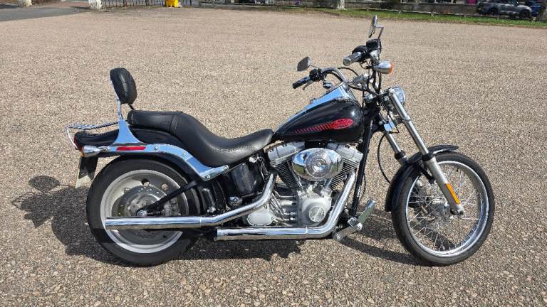 Harley Davidson softail standard 