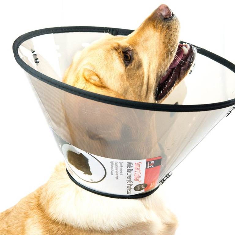 Pet recovery collar new size 2