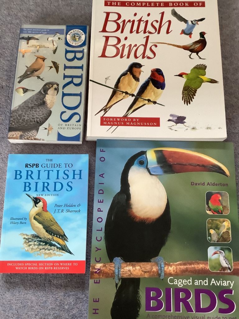 Lovely Bird books JOB LOT